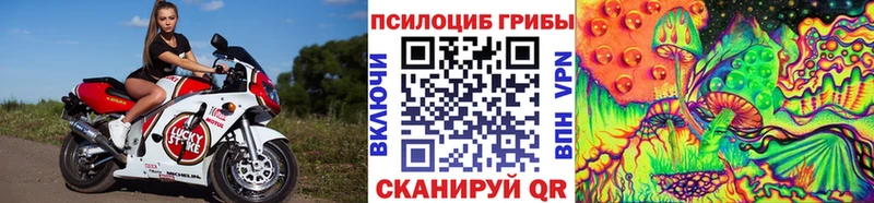что такое   Асино  Псилоцибиновые грибы мицелий 